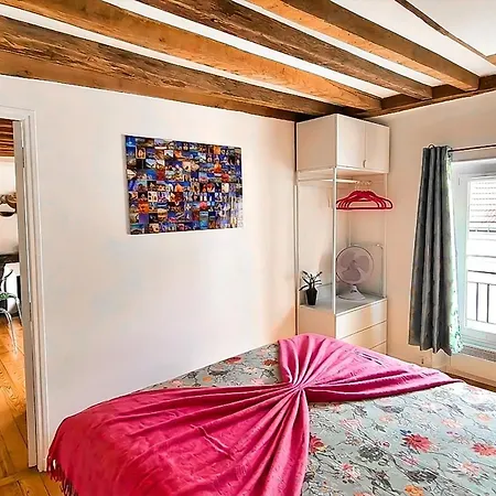 Casalionelparis 1820 Flat With Elevator, Queen Bed, Portable Ac, Near Le Louvre *